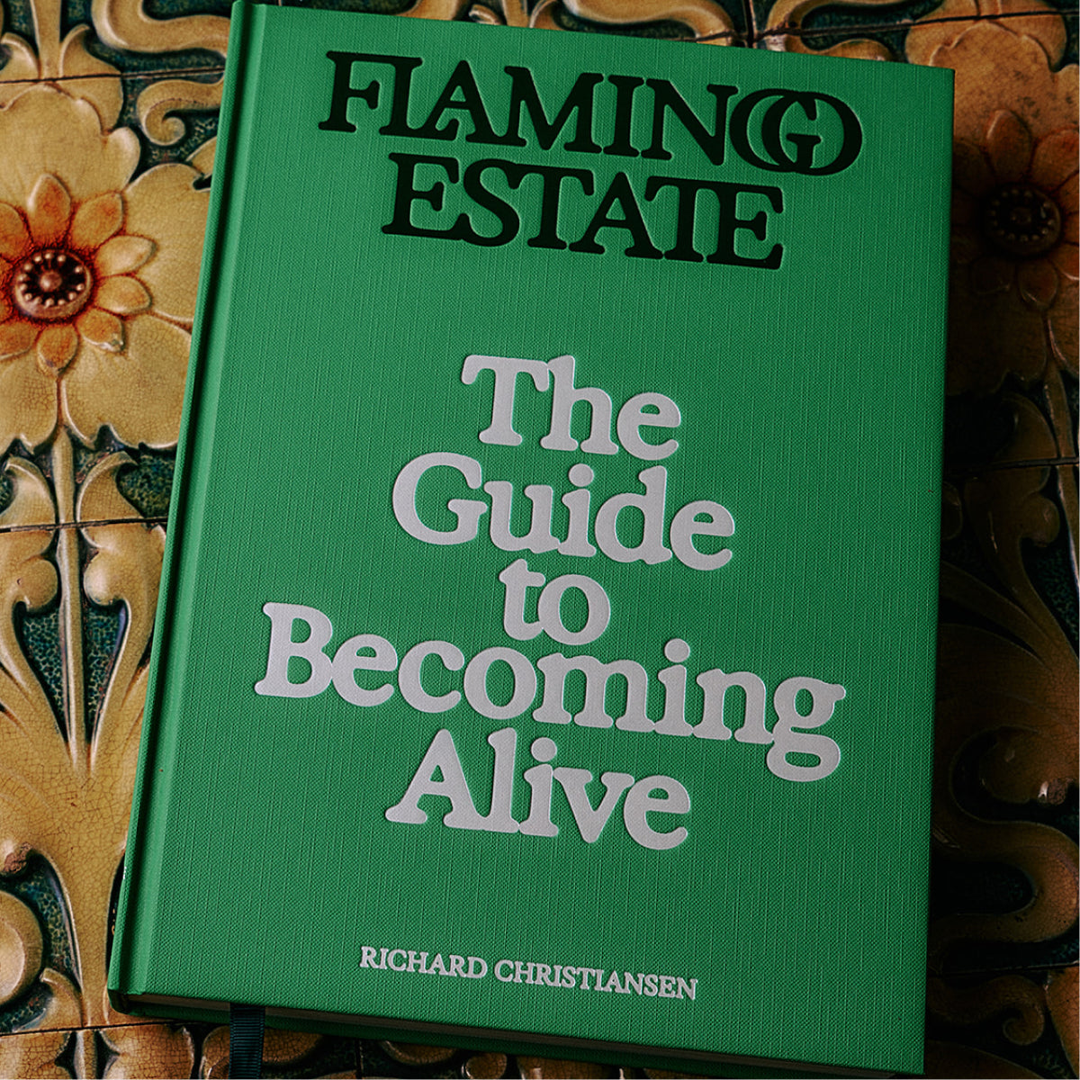 The Guide to Becoming Alive