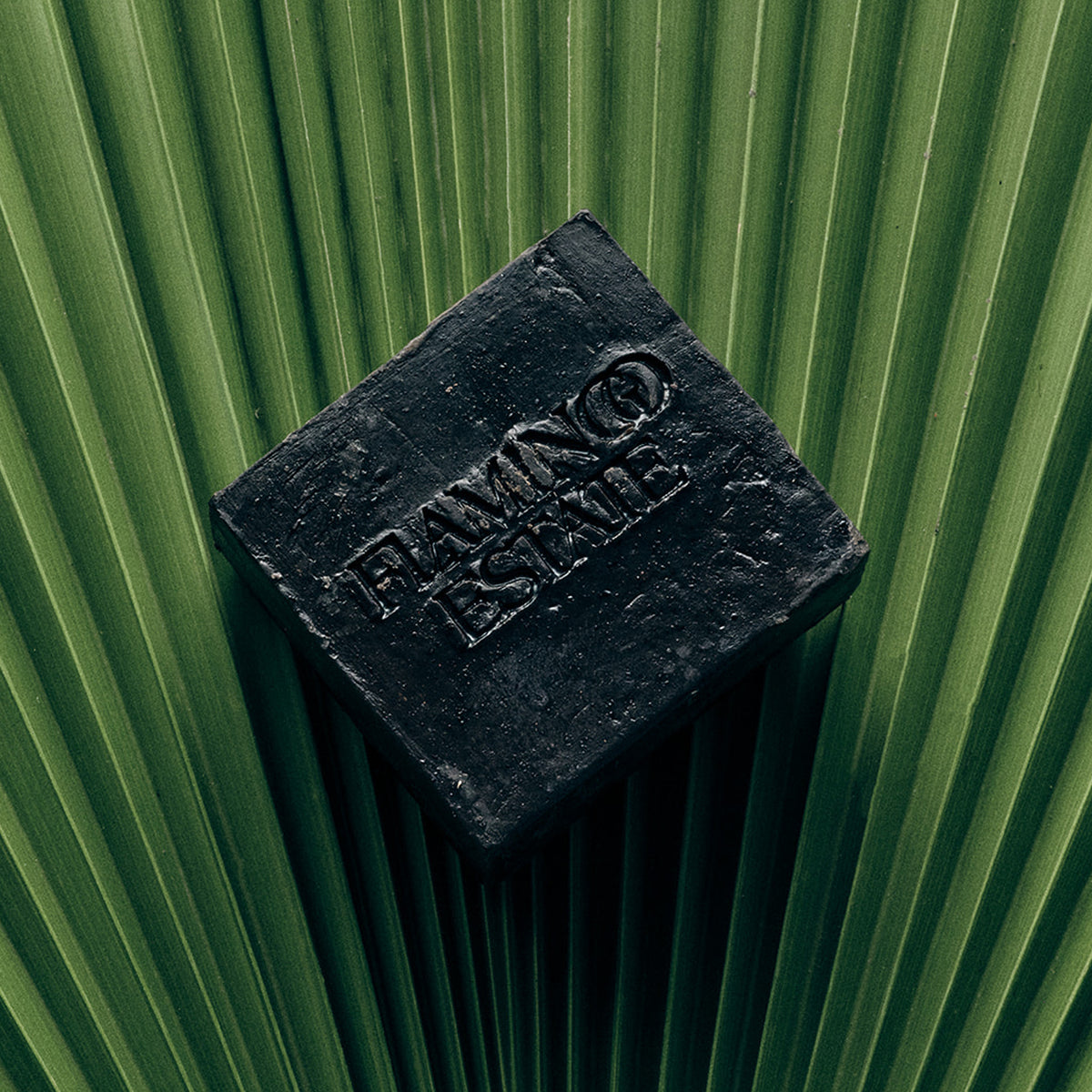 Coffee Soap Brick