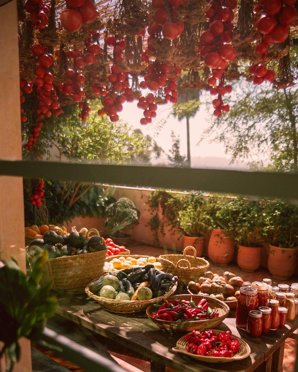 Display of natural tomato ingredients on a table at an outdoor market, creating a rustic, artisanal atmosphere.