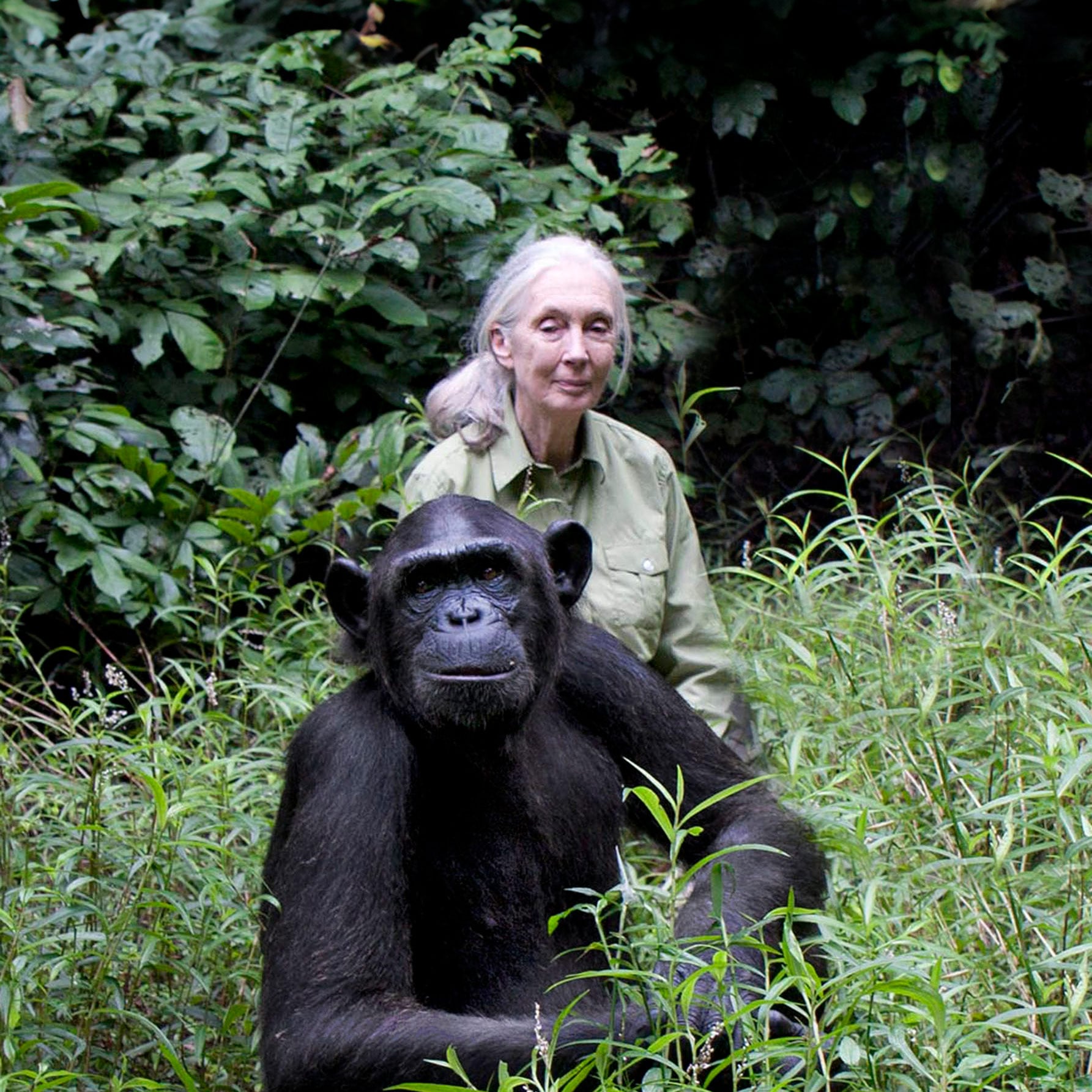 A Conversation with Jane Goodall
