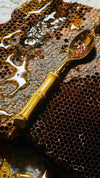California Wildflower Honey