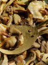 Freshly Cooked Mushrooms With A Spoon