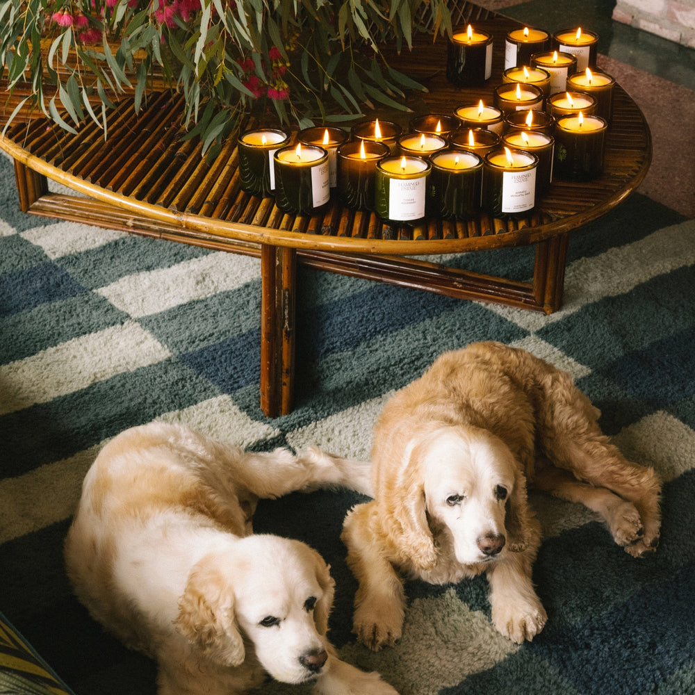 Candle Scent Discovery Set