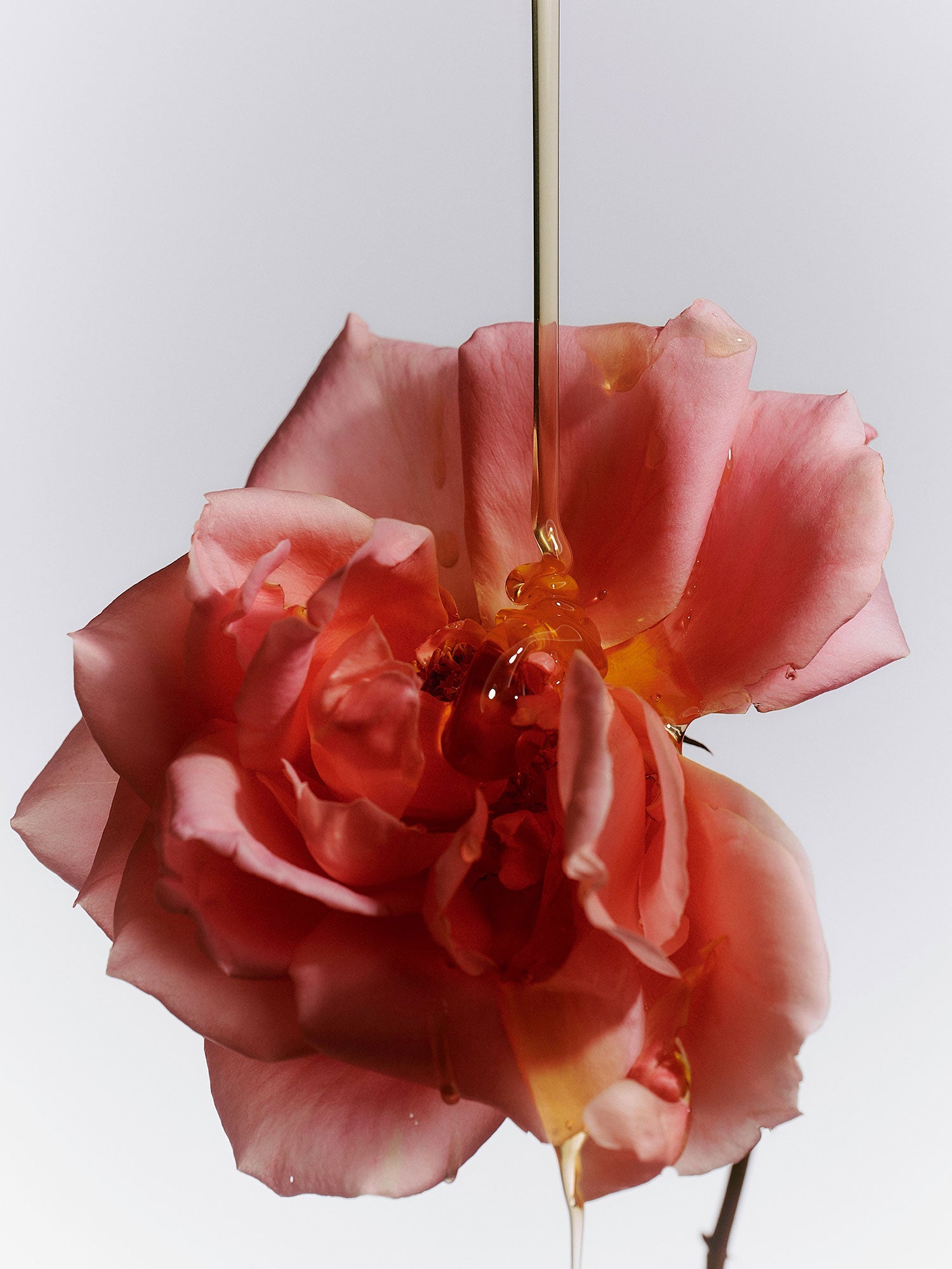 Jasmine Damask Rose Glass Hand Soap - Flamingo Estate
