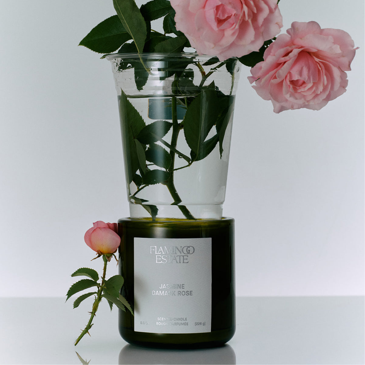 The Candle Greats Kit - Flamingo Estate