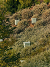 Beehives rest on a hillside, surrounded by dense green shrubs and trees.