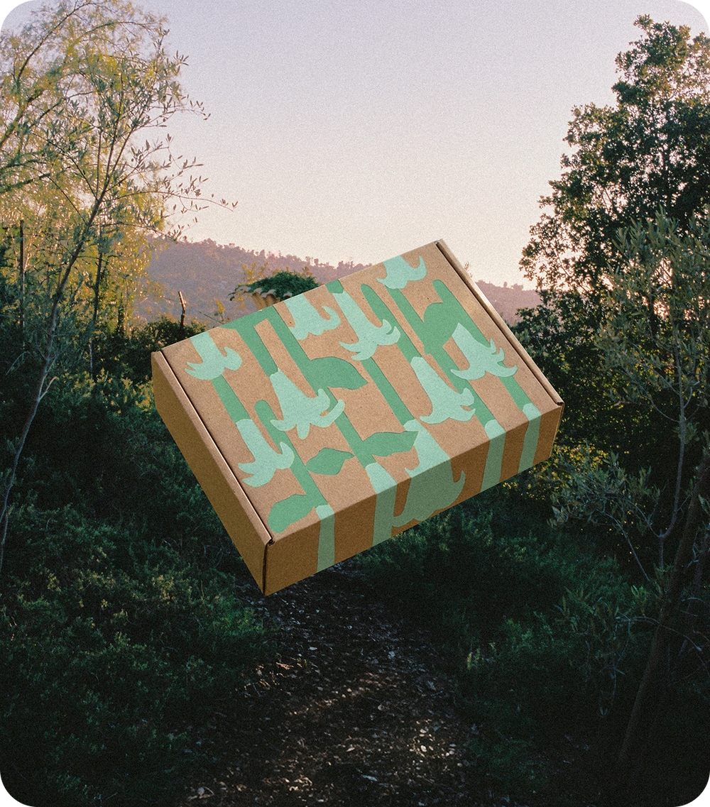 Secret Garden Box