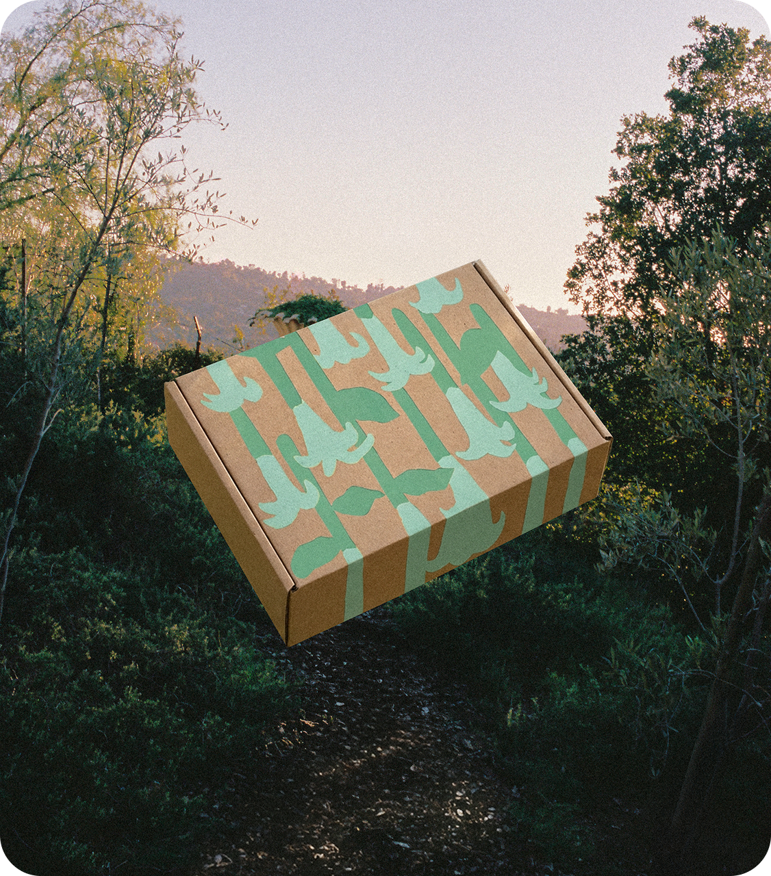 Secret Garden Box - Flamingo Estate