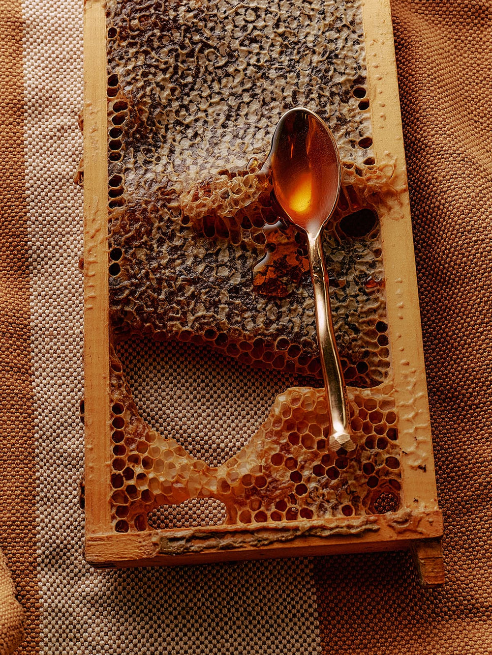 A honeycomb frame with a silver spoon resting on it.