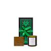 Green Goddess Duo