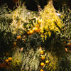 Seasonal Subscription Box