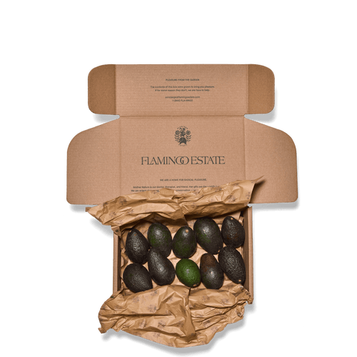 Flamingo Estate Organic Avocado Box