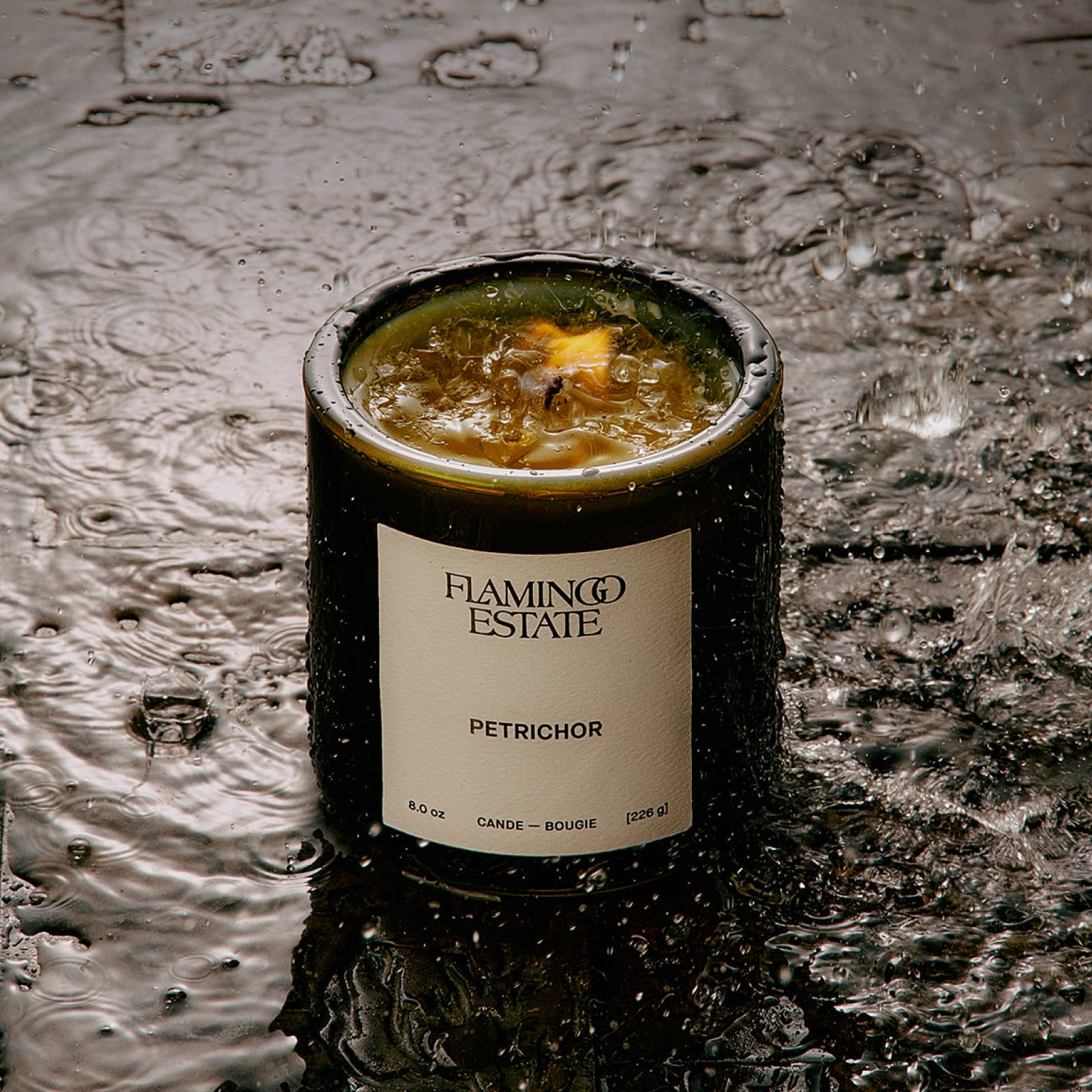 Petrichor Candle - Flamingo Estate