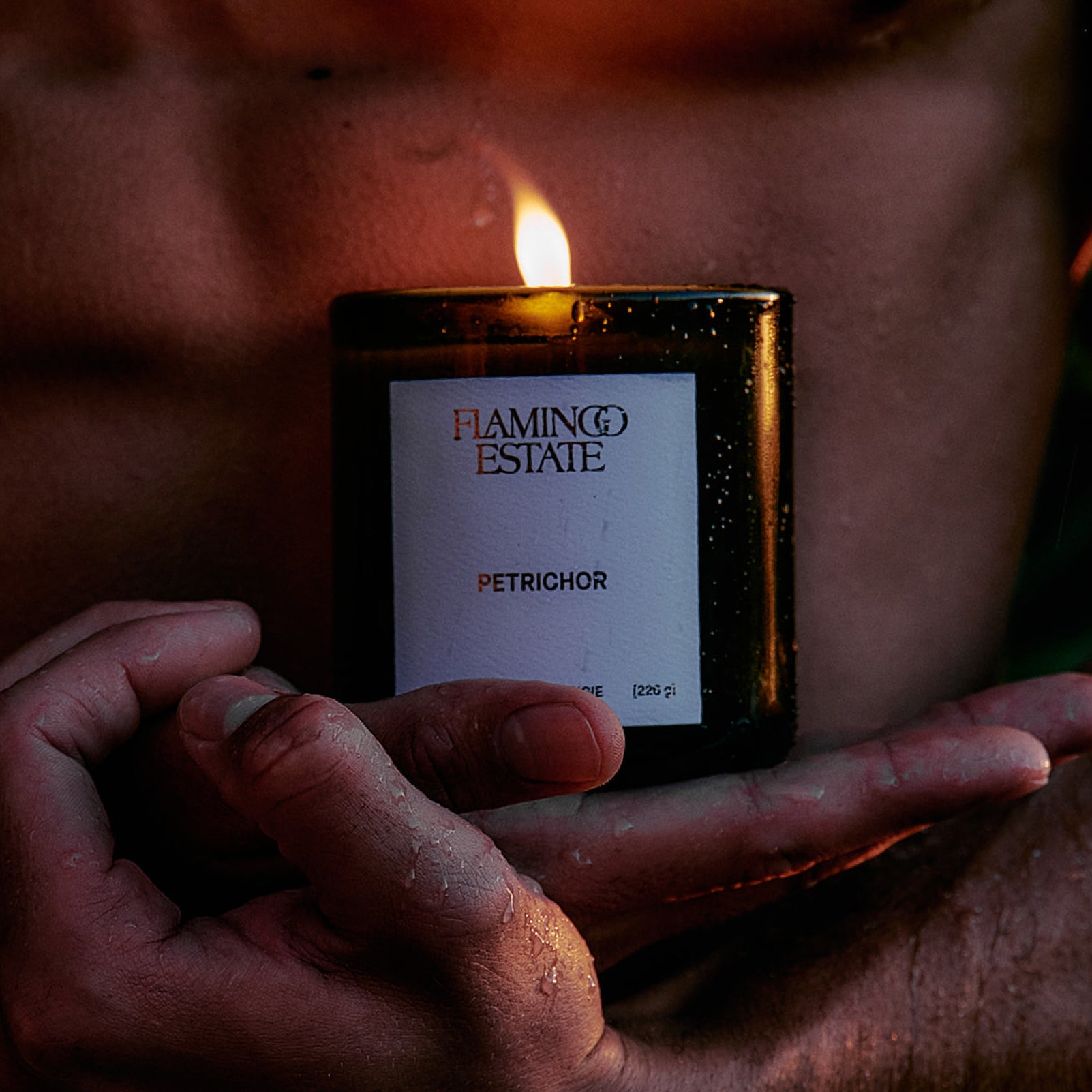 Petrichor Candle - Flamingo Estate