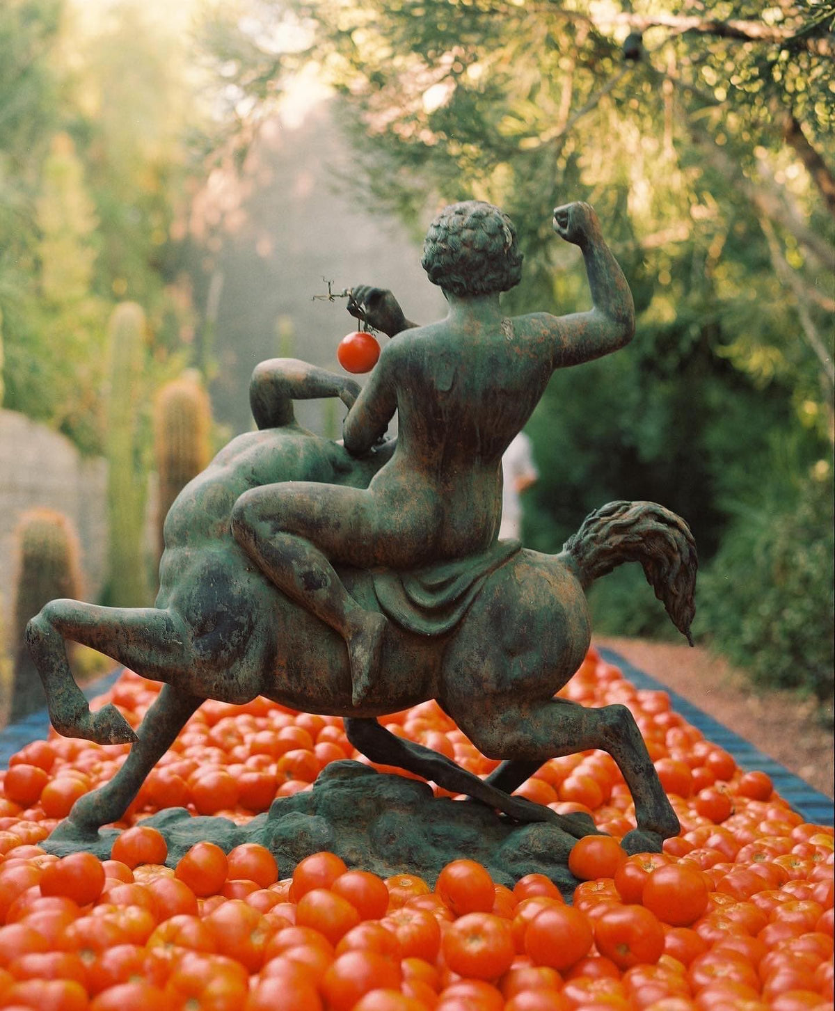 Scenic outdoor garden setting with vibrant red tomatoes, suggesting the fresh and natural essence of the tomato candle.