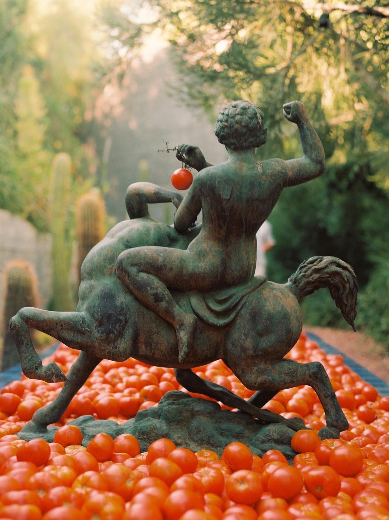 Roma Heirloom Tomato Fragrance Oil - Flamingo Estate