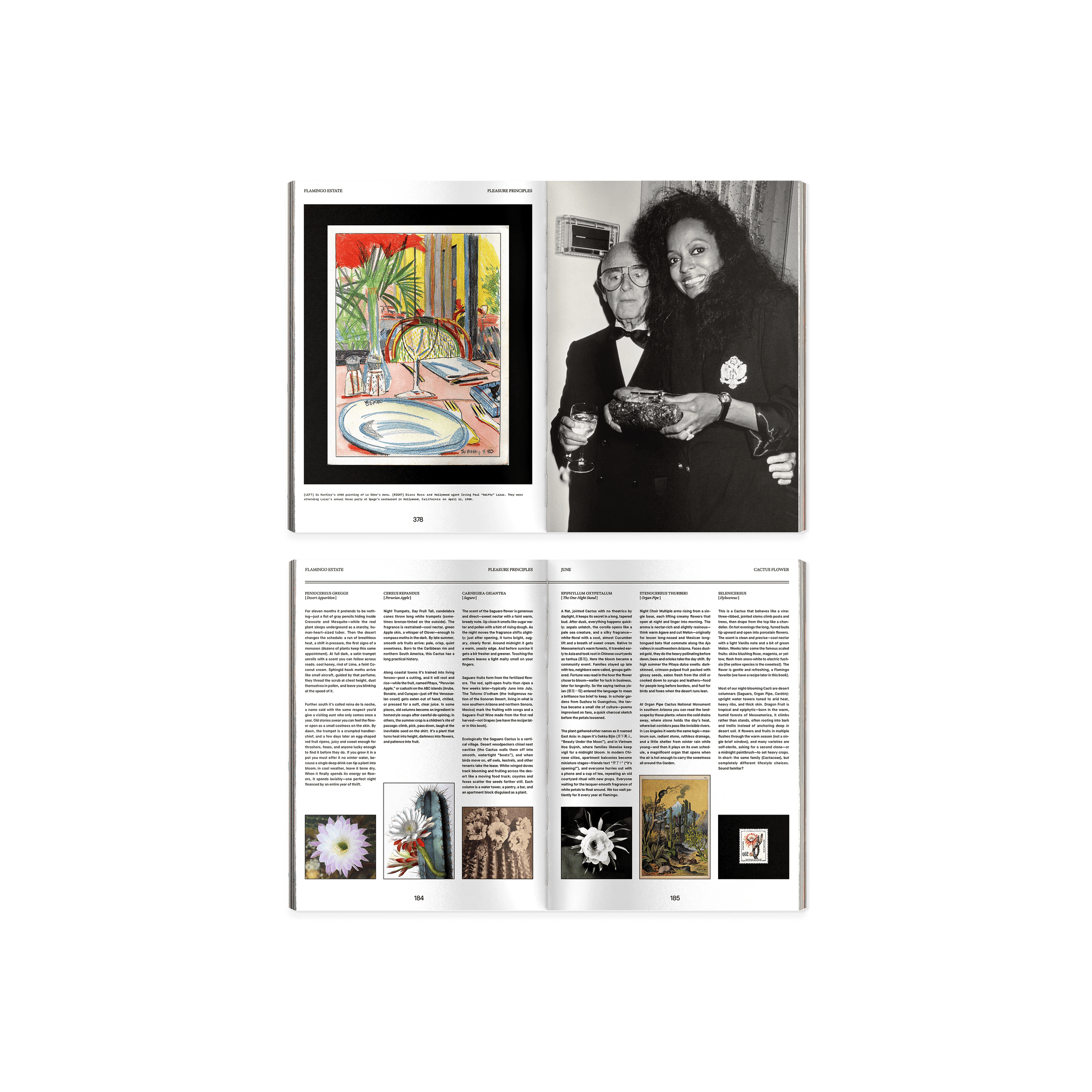 Pleasure Principles: An Almanac from the Garden - Flamingo Estate