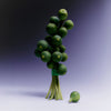 Sappho Fig Duo