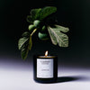 Sappho Fig Duo