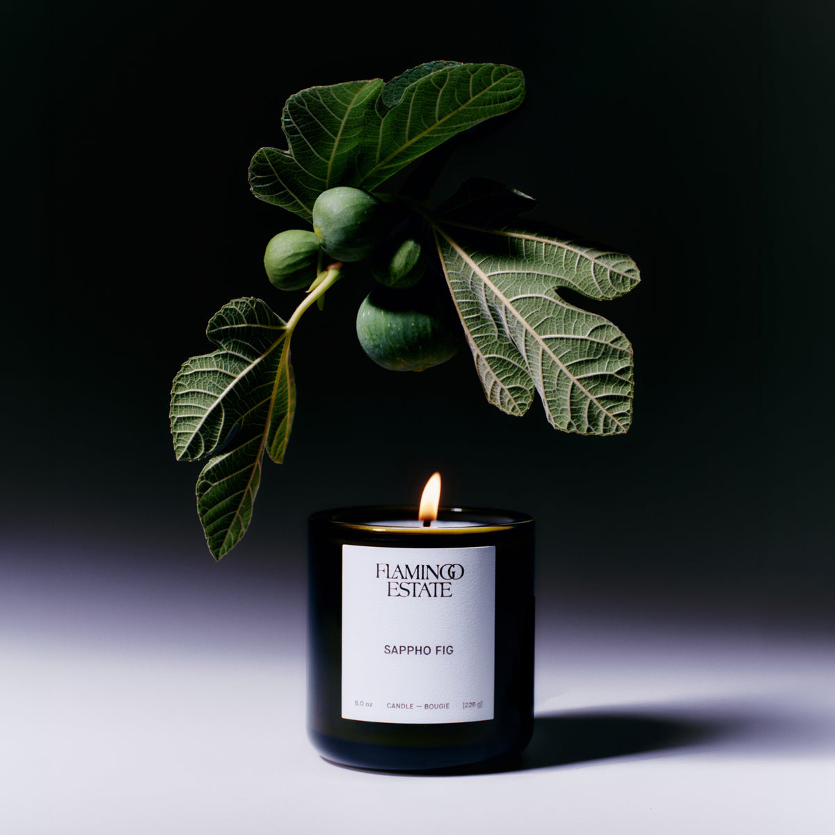 Sappho Fig Duo