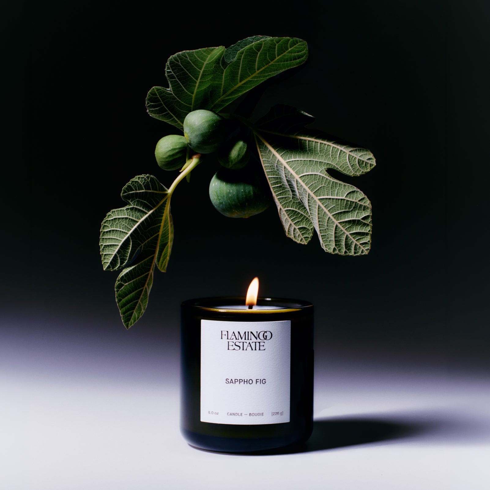 Sappho Fig Duo - Flamingo Estate