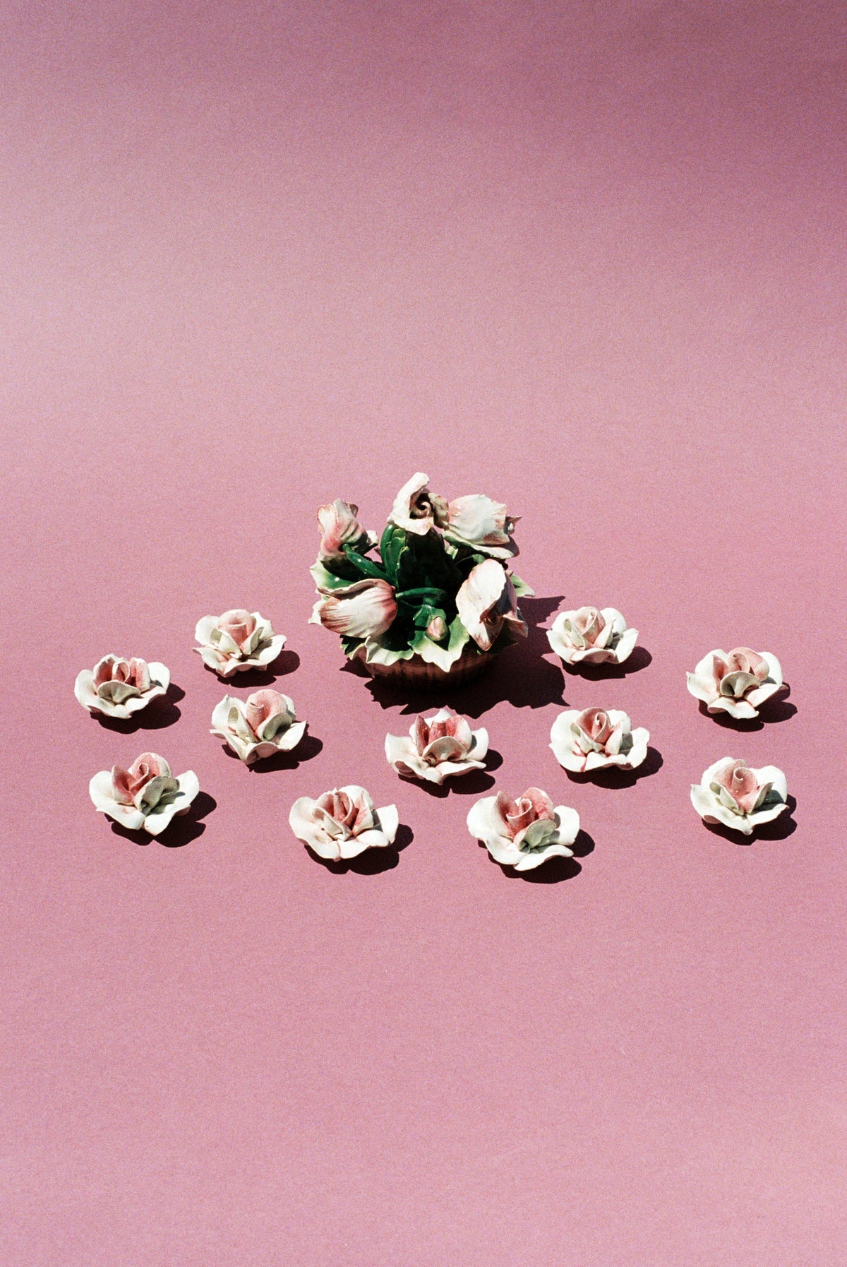 Small Porcelain Roses - Flamingo Estate