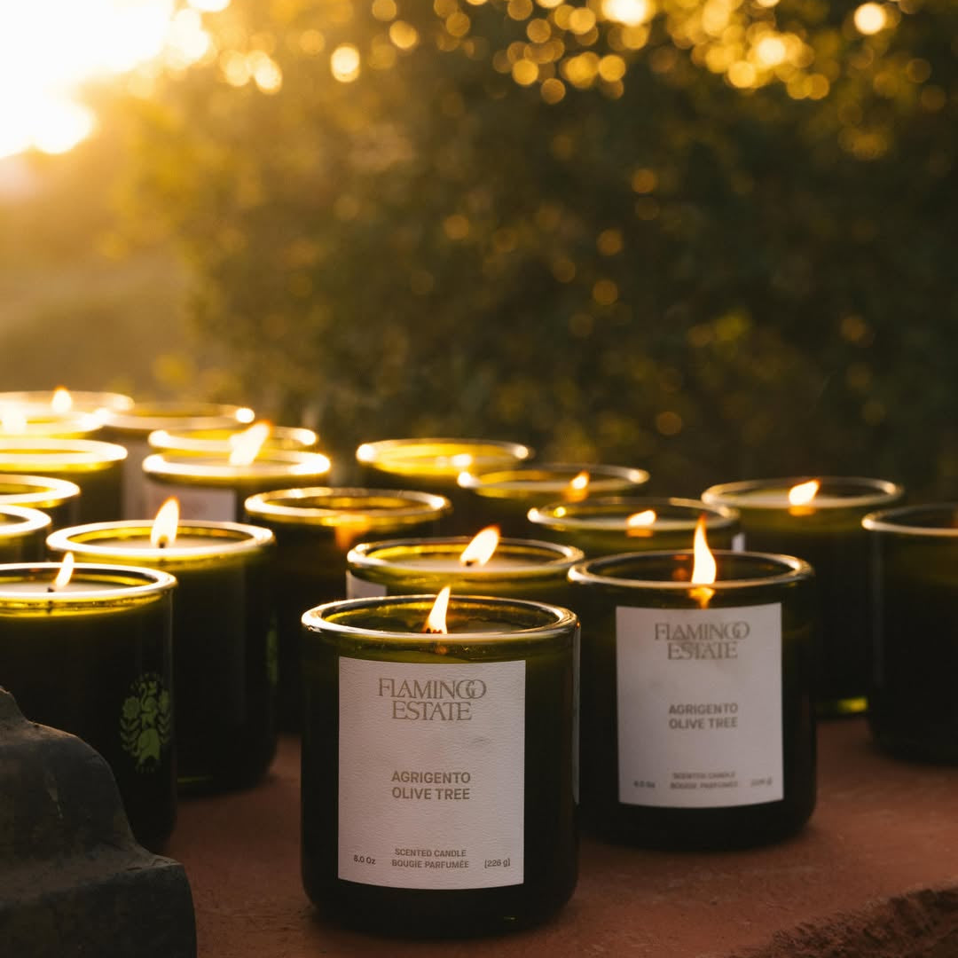 Ancient Agrigento Olive Tree Candle - Flamingo Estate