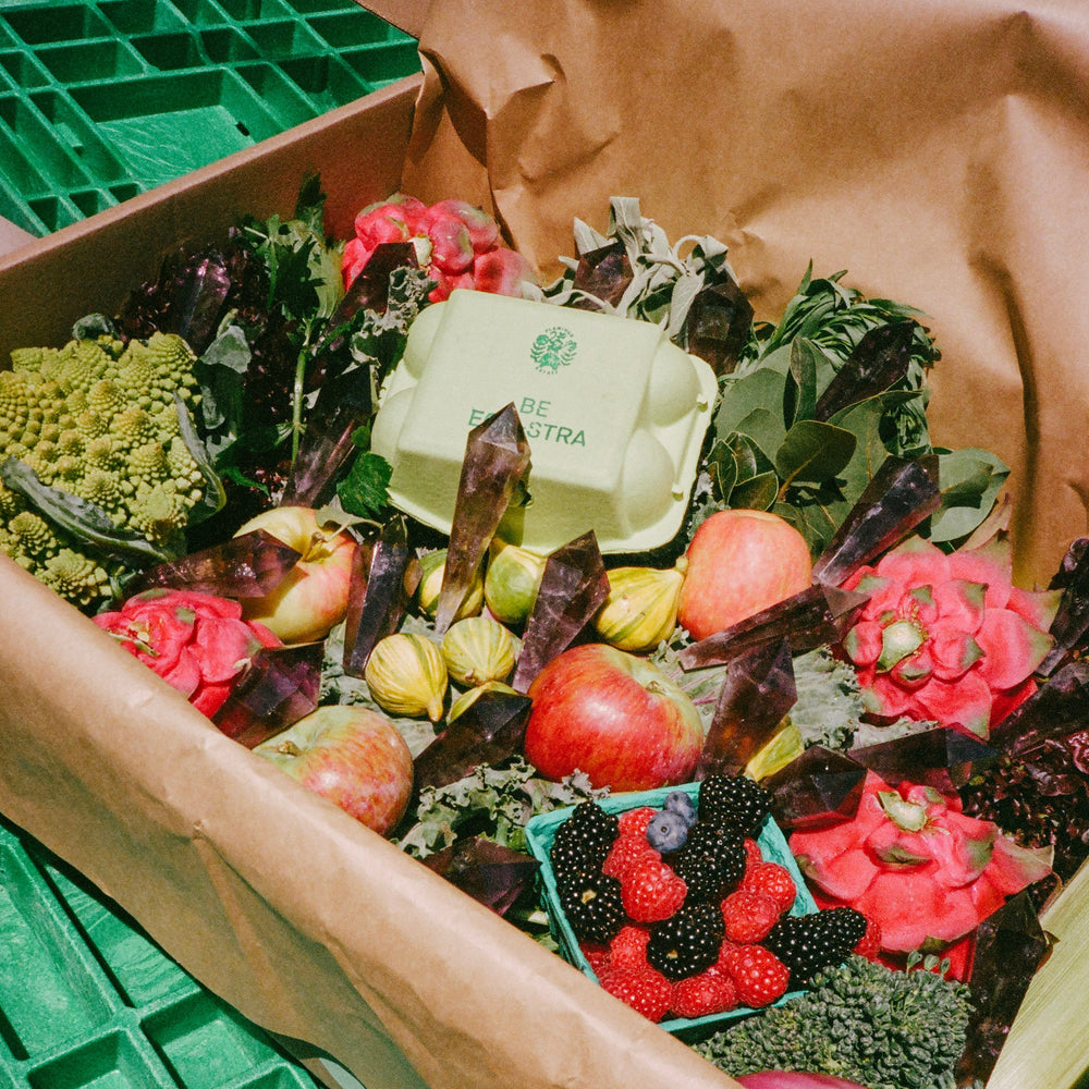 The Regenerative Farm Box