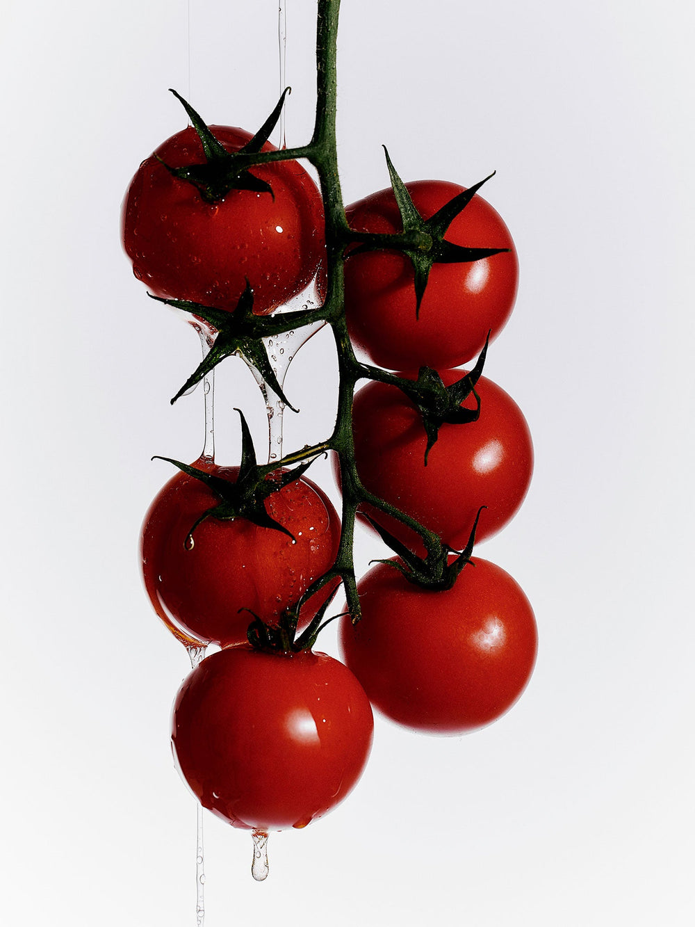 Tomatoes on a Vine