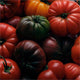 Heirloom Tomato