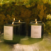 Golden Pollinator Candle