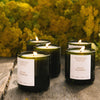 Golden Pollinator Candle