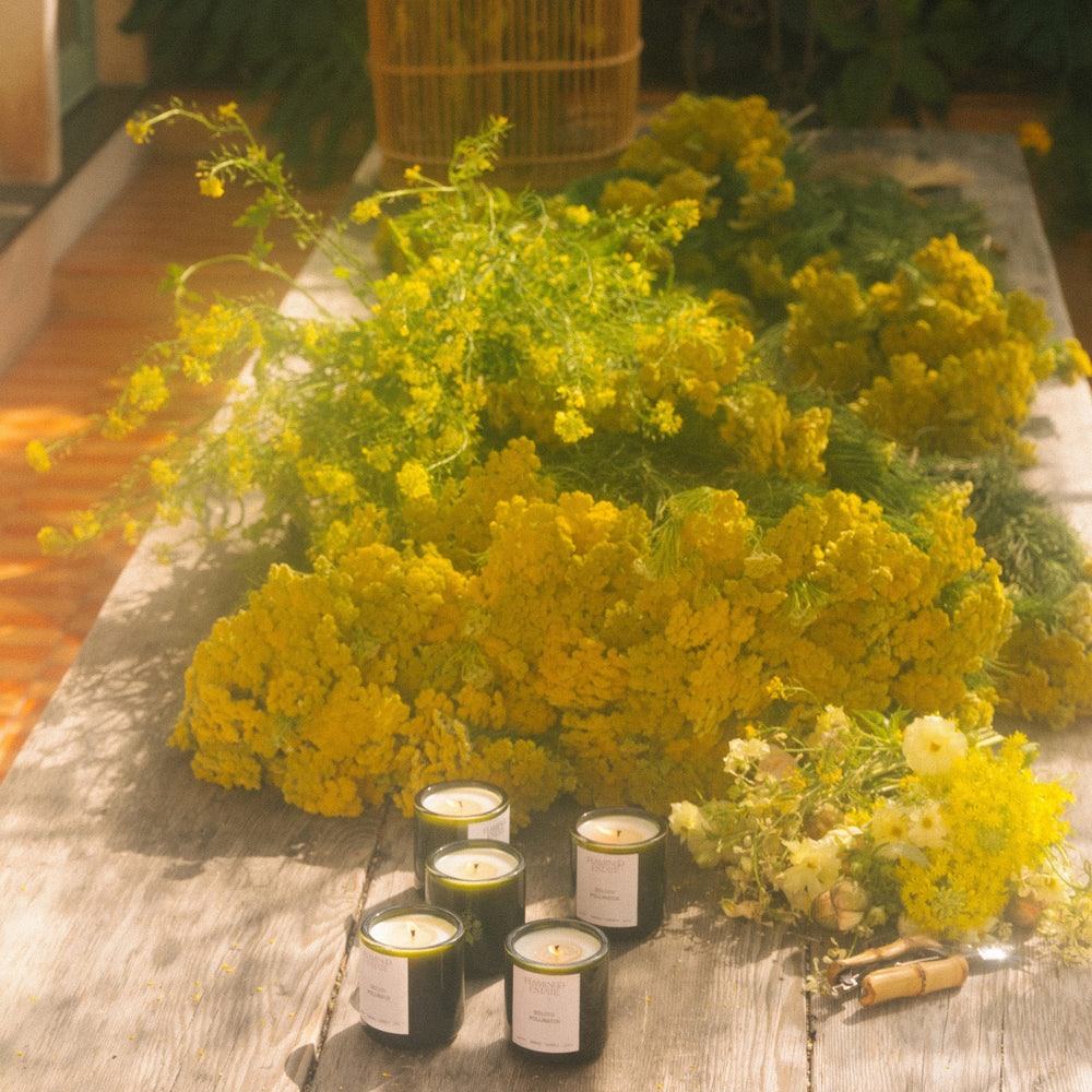 Golden Pollinator Candle