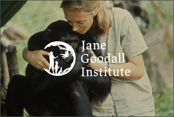 JANE GOODALL INSTITUTE