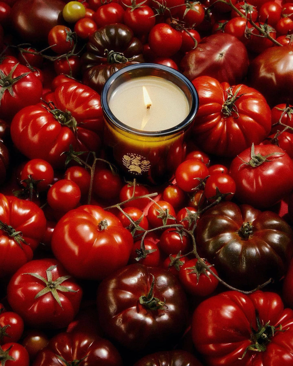 Single tomato candle nestled among fresh tomatoes, emphasizing the connection to natural ingredients.